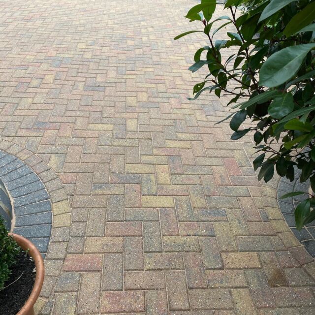 74673898_1548083728667115_6651377834075732460_nfull