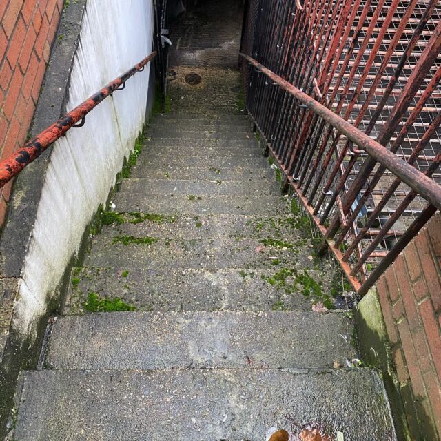 75341336_426488751356415_5418663205502262027_nfull