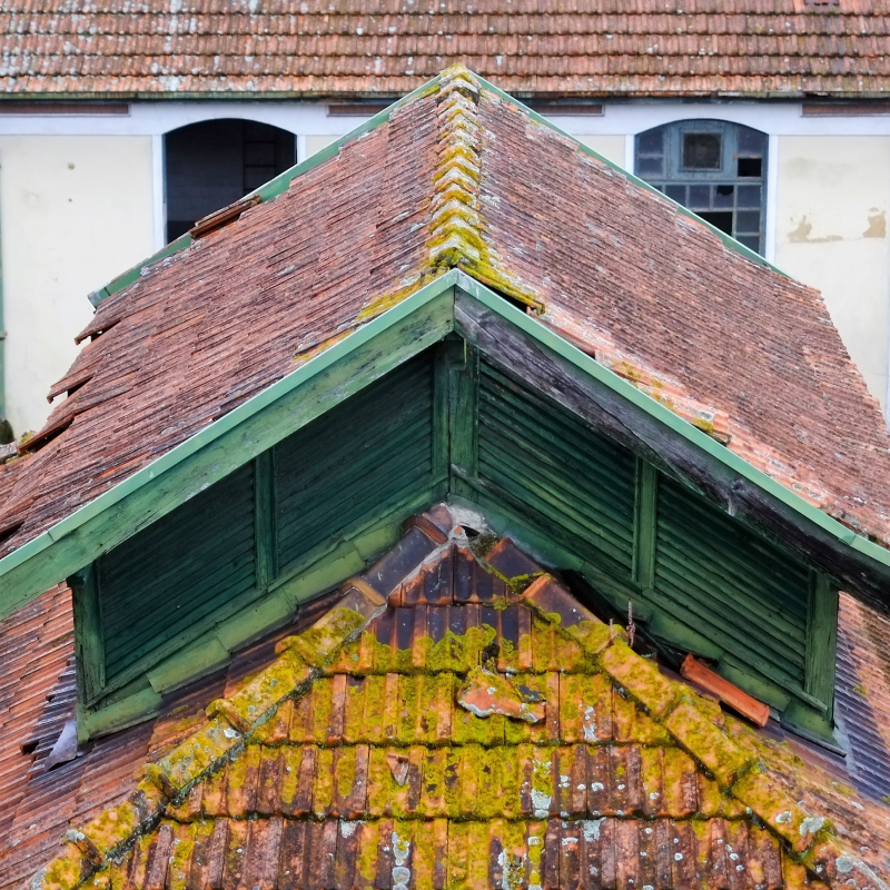 high-angle-view-roof (1)